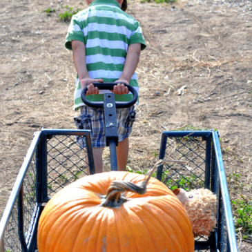 We’re Off to the Pumpkin Patch: Orange Photo-Shoot