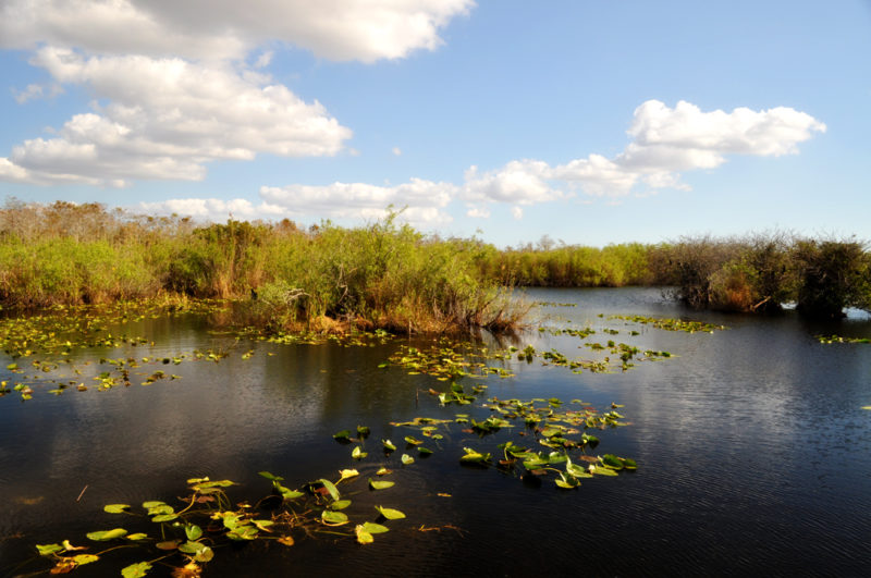 Everglades National Park - Joanna Ciolek