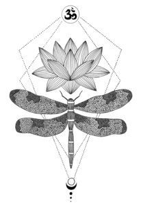 Zen Collection - Dragonfly 2