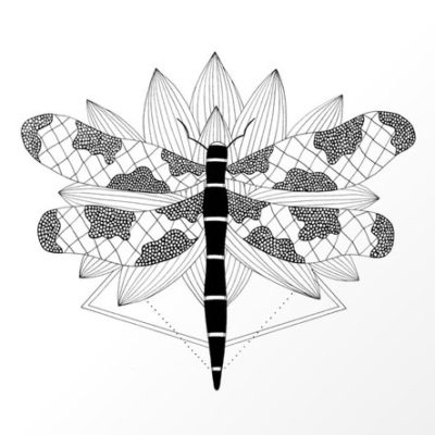 Dragonfly Over Lotus