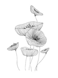 Ink Pen Botanical Drawings - Bouquet